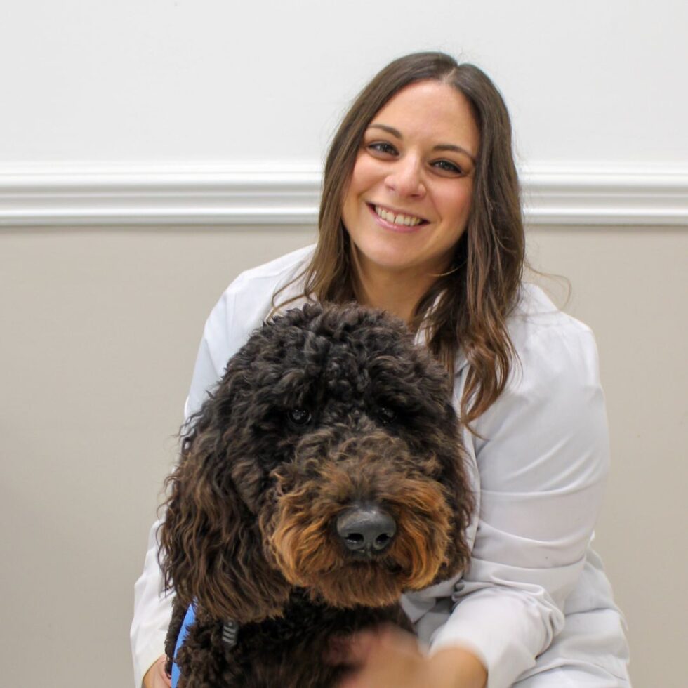 Wendell Animal Hospital Veterinary Hospital Dogs Cats Exotics